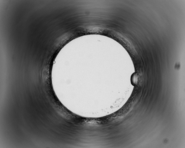 X0000103400407200810241015