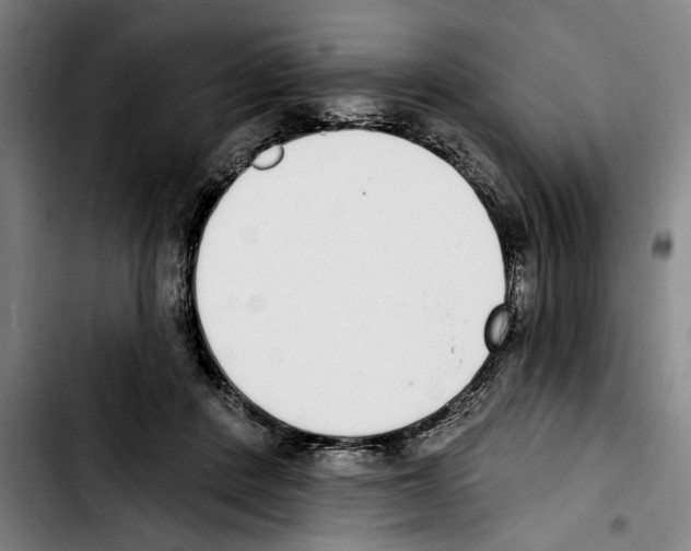 X0000103400408200810241015