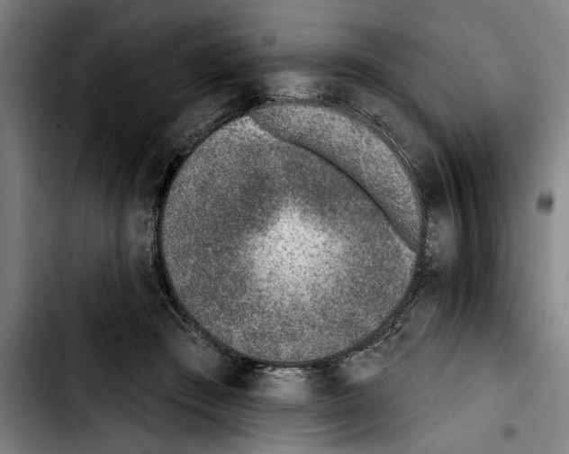 X0000103400409200810241015