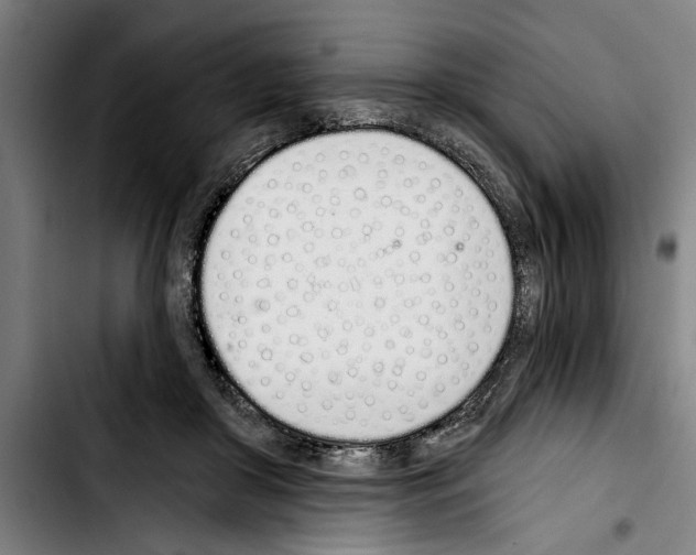 X0000103400410200810241015