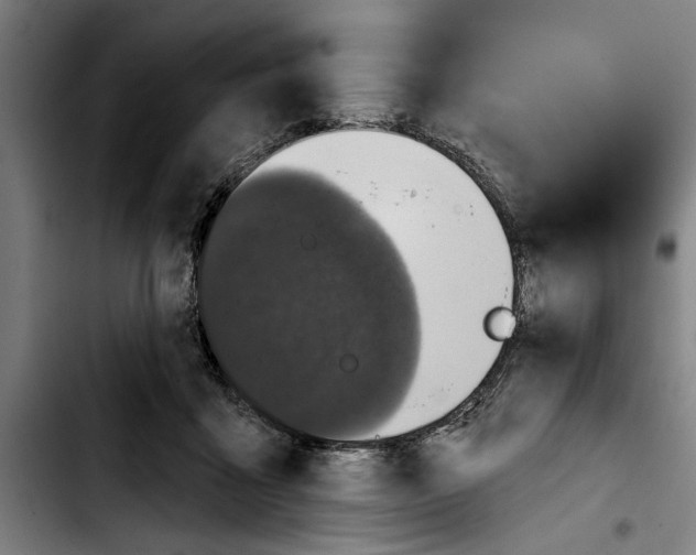 X0000103400411200810241015