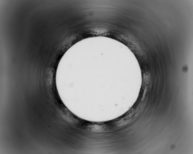 X0000103400412200810241015