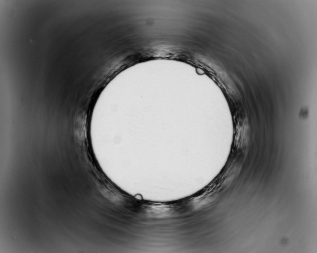 X0000103400413200810241015