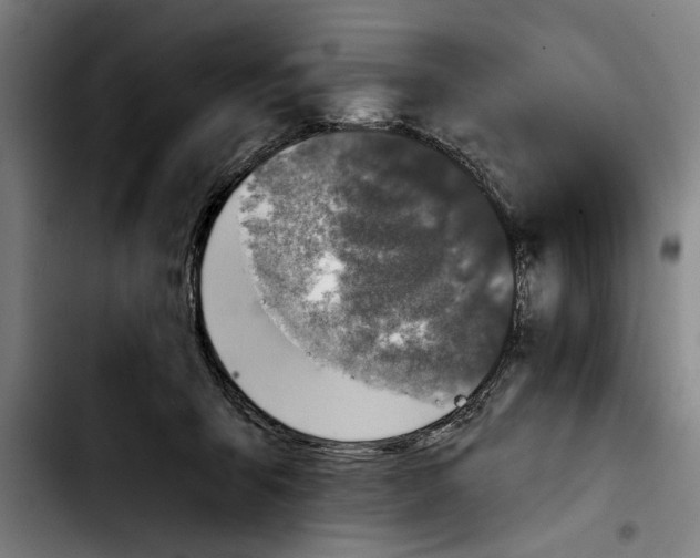 X0000103400415200810241015