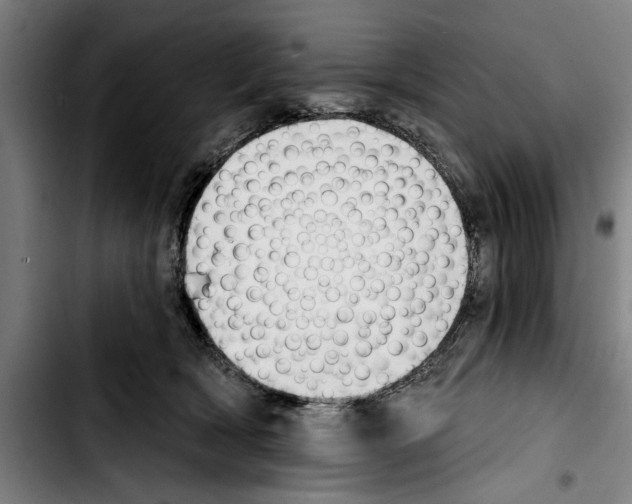 X0000103400418200810241015