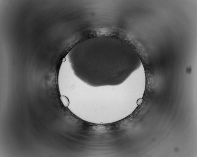 X0000103400419200810241015