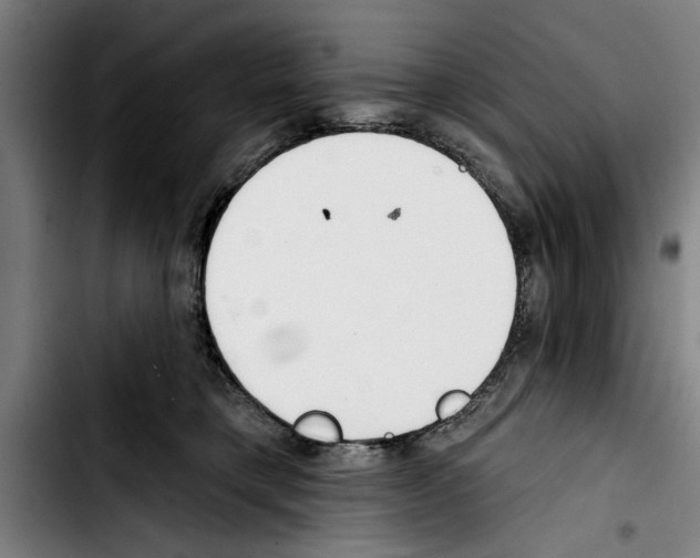 X0000103400421200810241015