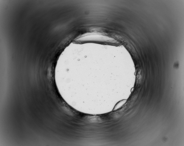 X0000103400424200810241015