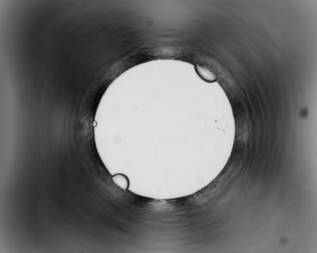 X0000103400425200810241015