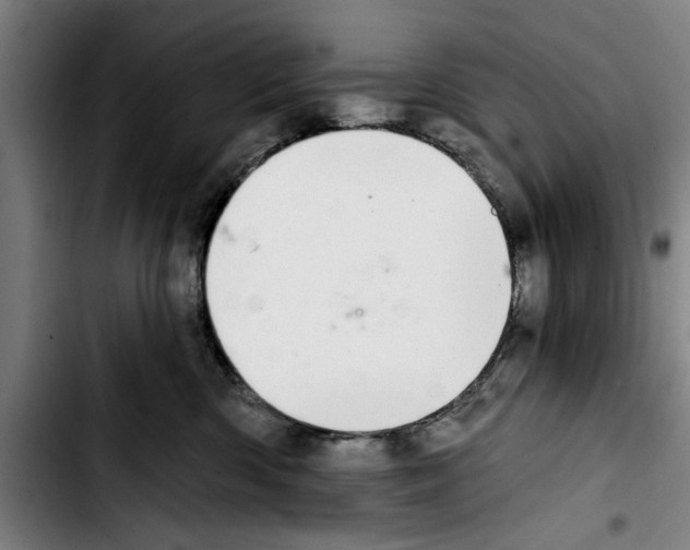 X0000103400426200810241015