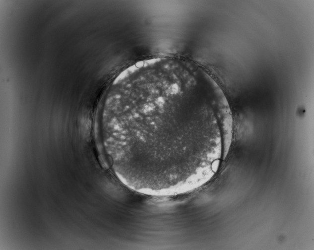 X0000103400427200810241015