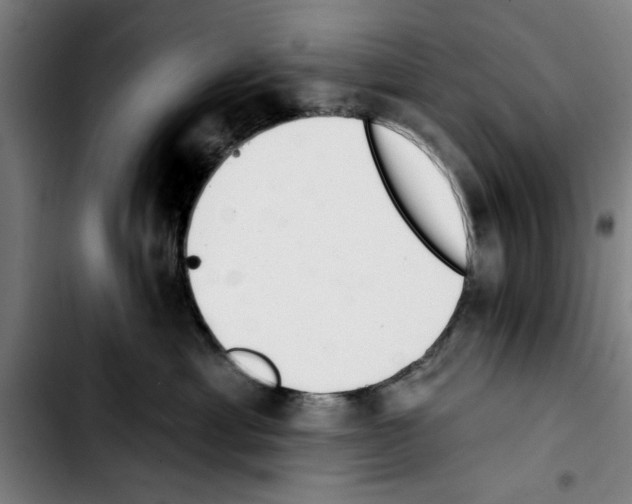 X0000103400429200810241015