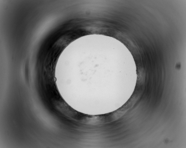 X0000103400430200810241015