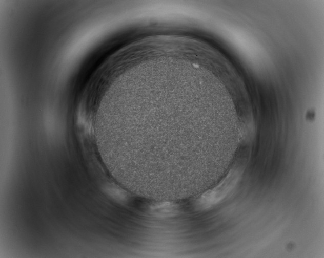 X0000103400431200810241015