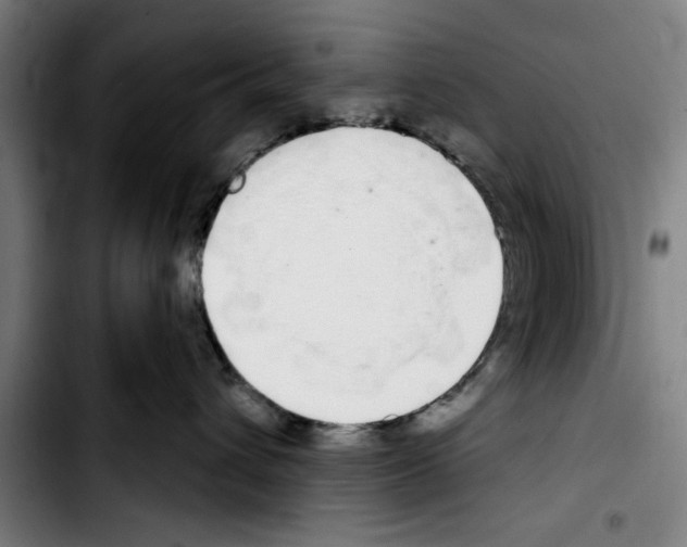 X0000103400432200810241015