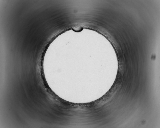 X0000103400434200810241014