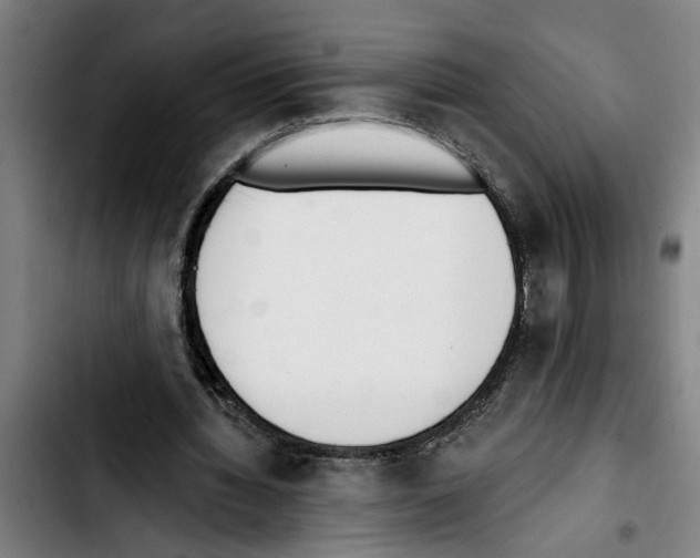 X0000103400436200810241014