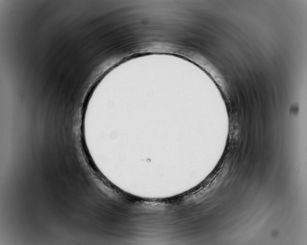 X0000103400437200810241014