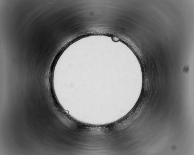 X0000103400439200810241014