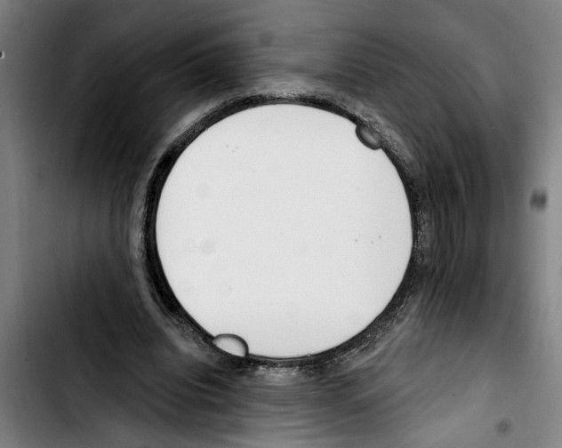 X0000103400440200810241014