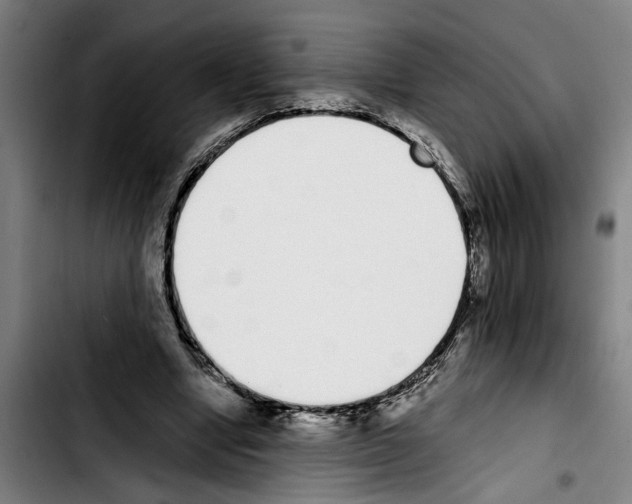 X0000103400442200810241014