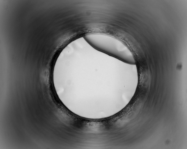 X0000103400444200810241014