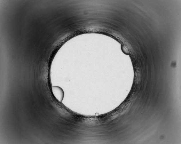 X0000103400446200810241014