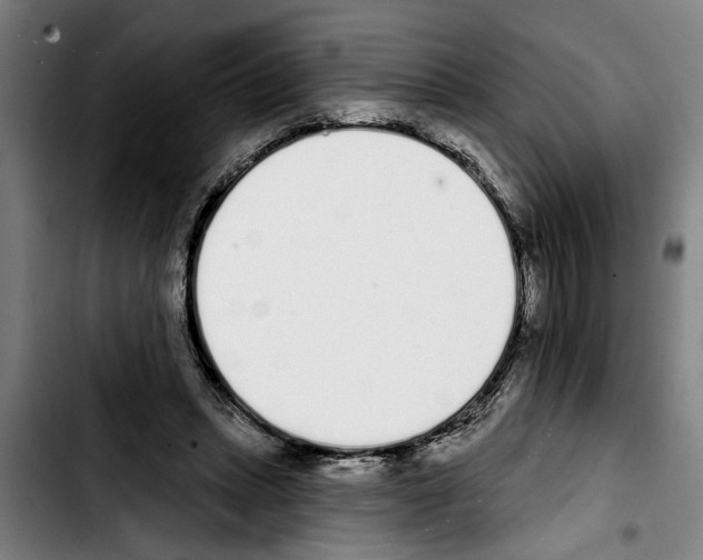 X0000103400447200810241014