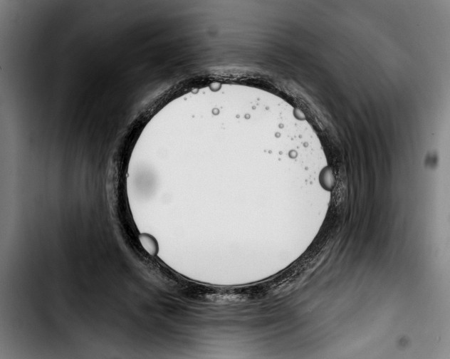 X0000103400448200810241014