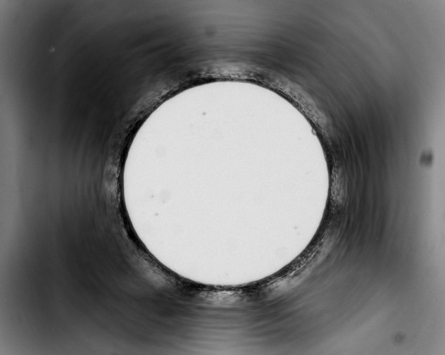 X0000103400449200810241014