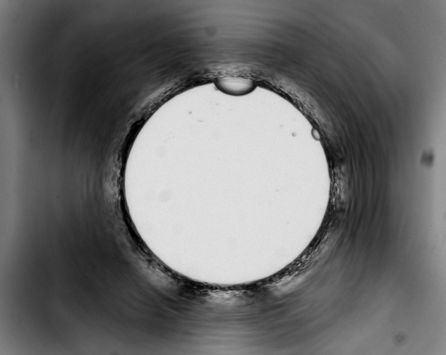 X0000103400450200810241014