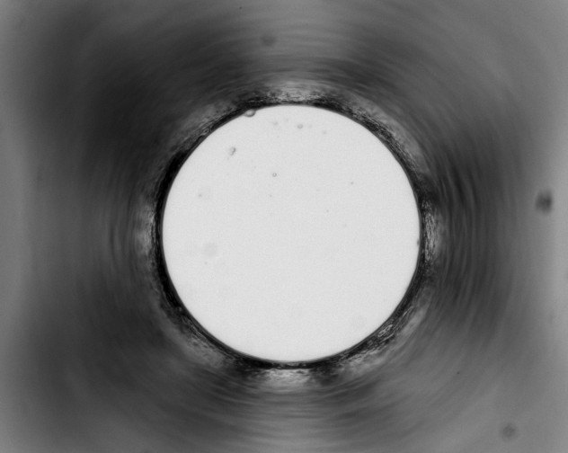 X0000103400451200810241014