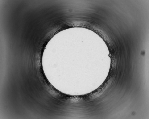 X0000103400453200810241014