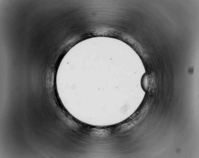 X0000103400454200810241014