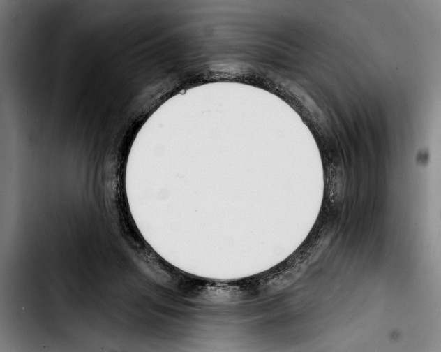 X0000103400455200810241014