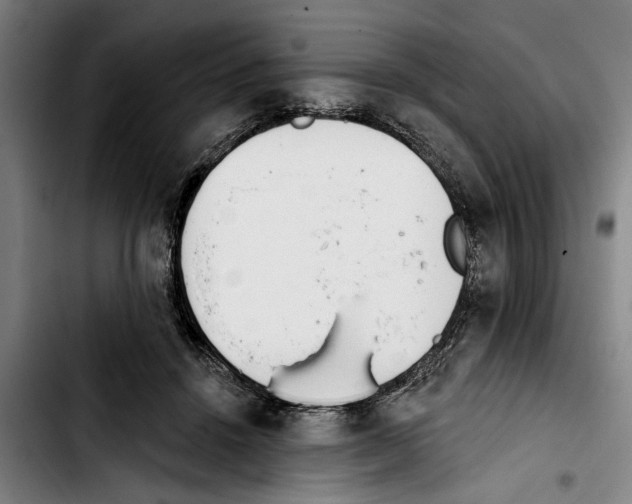 X0000103400456200810241014