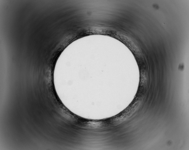 X0000103400457200810241014