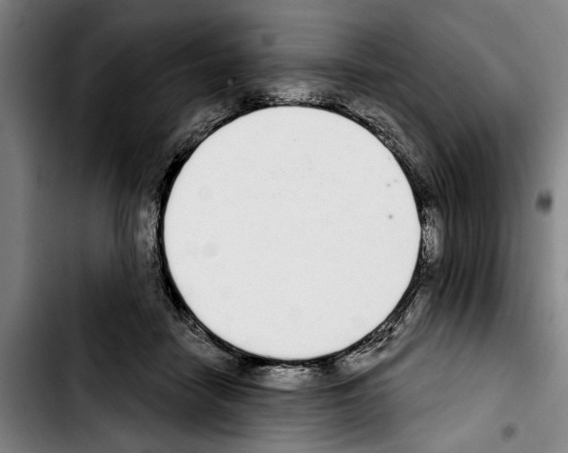 X0000103400458200810241014