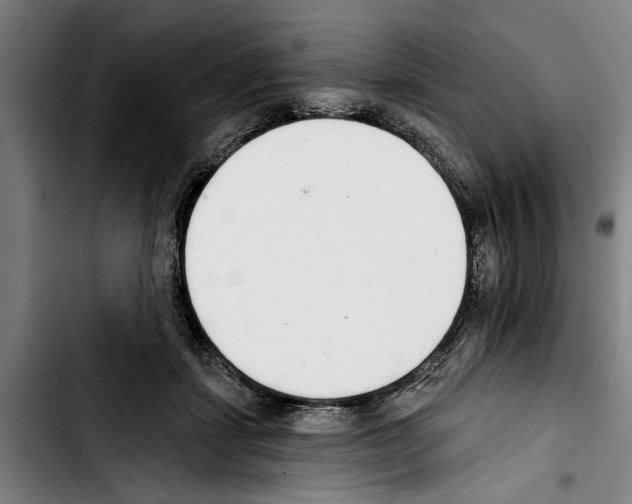 X0000103400459200810241014