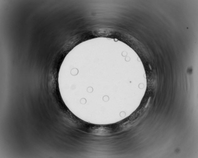 X0000103400460200810241014