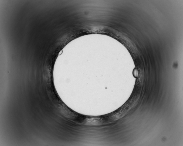 X0000103400461200810241014