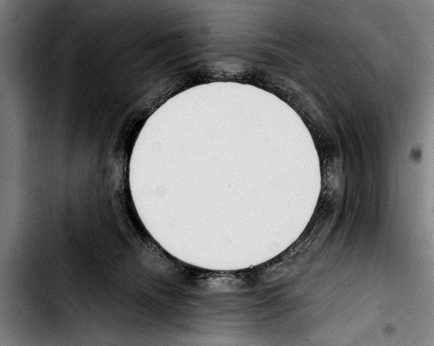 X0000103400468200810241015