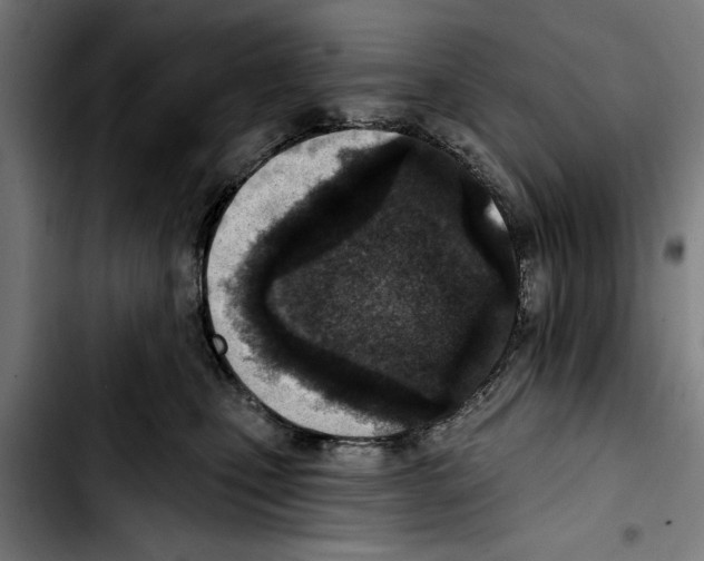 X0000103400471200810241015