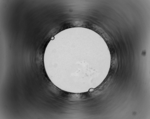 X0000103400473200810241015