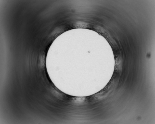 X0000103400474200810241015