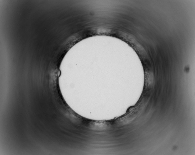 X0000103400475200810241015