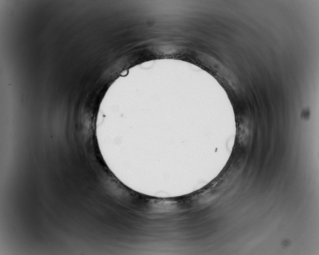 X0000103400476200810241015