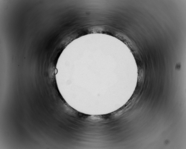 X0000103400477200810241015