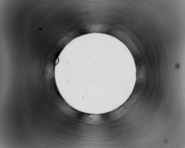 X0000103400478200810241015