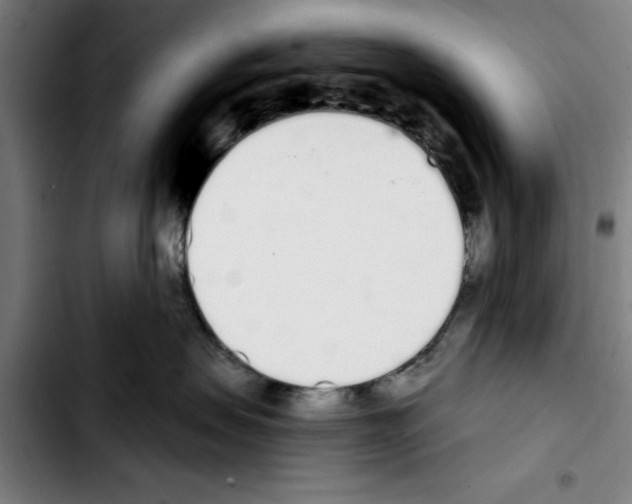 X0000103400479200810241015